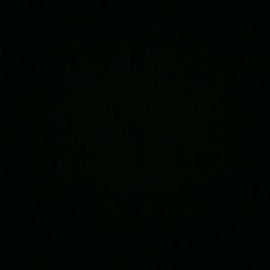 Meet your Posher, Shanta